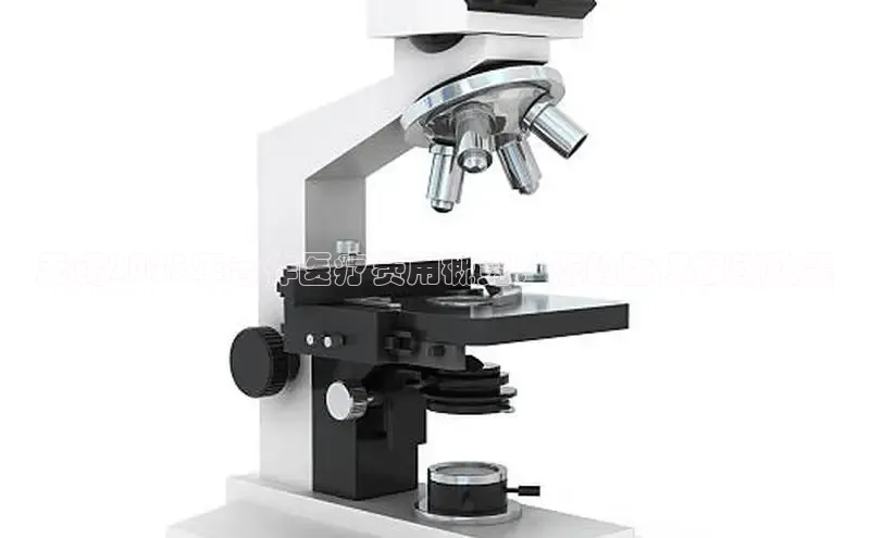 MK体育APP下载地址