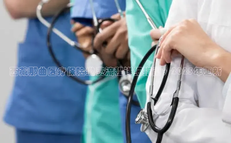 MK体育APP下载地址