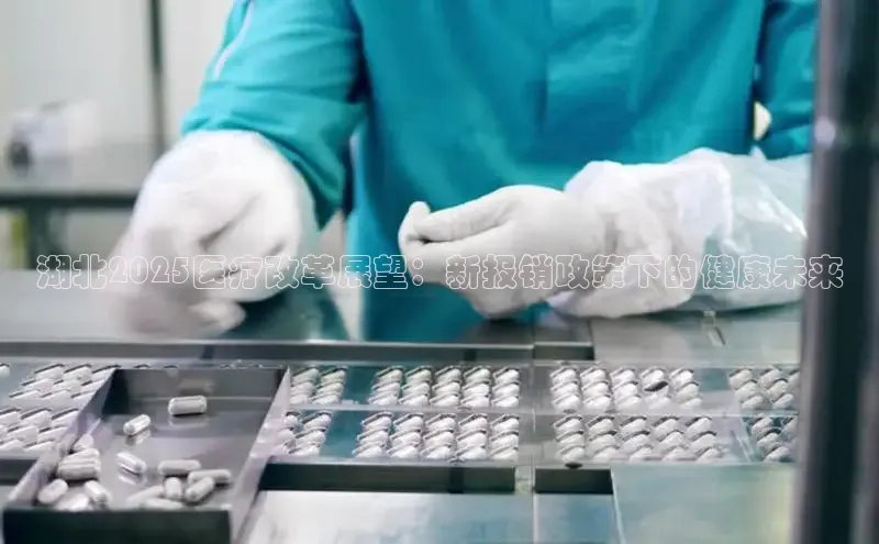 MK体育在线登录入口