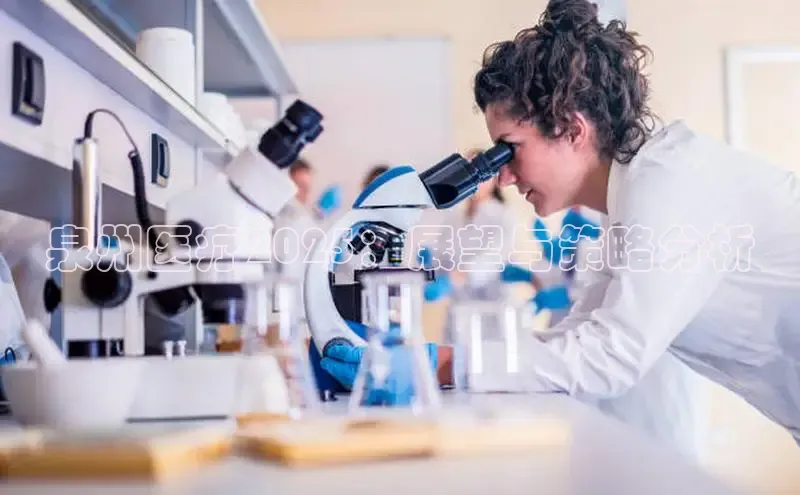 MK体育平台网页版入口